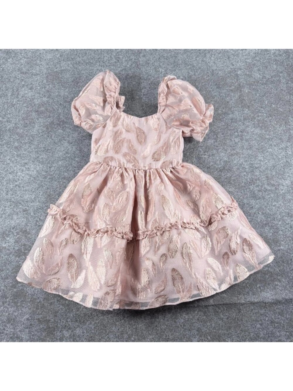 Rare Editions Burnout Organza Dress Girls 6 Blush Pink Puff Sleeve Fairytale